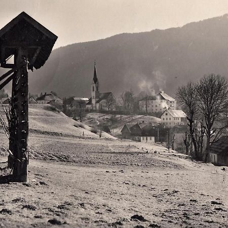 Apartments Edelweiss & Enzian - Gaestehaus Zum Fuchs Hermagor-Pressegger See Bagian luar foto